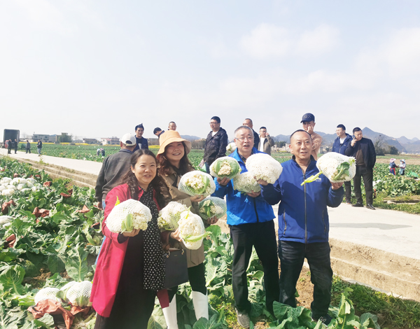 多彩贵州   党建之光系列报道之三十六