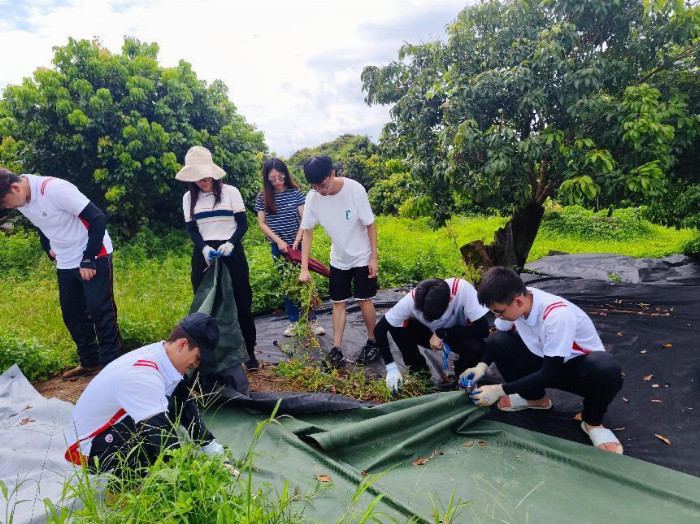 青年助力百千万，振兴乡村新力量