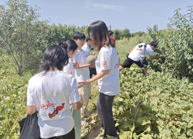 镜头下的乡村美，普通话中的振兴梦：石大学子以镜头助力农产品营销