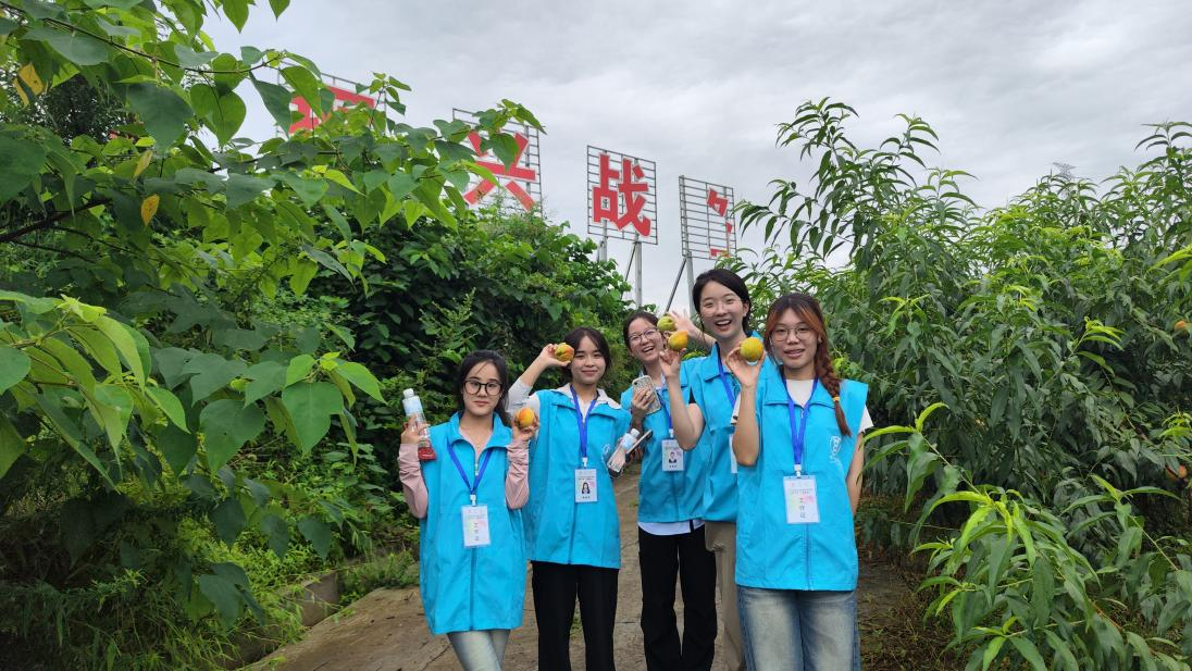 辽宁师范大学学子三下乡：绿梦扬帆启新程，青春执笔绘振兴